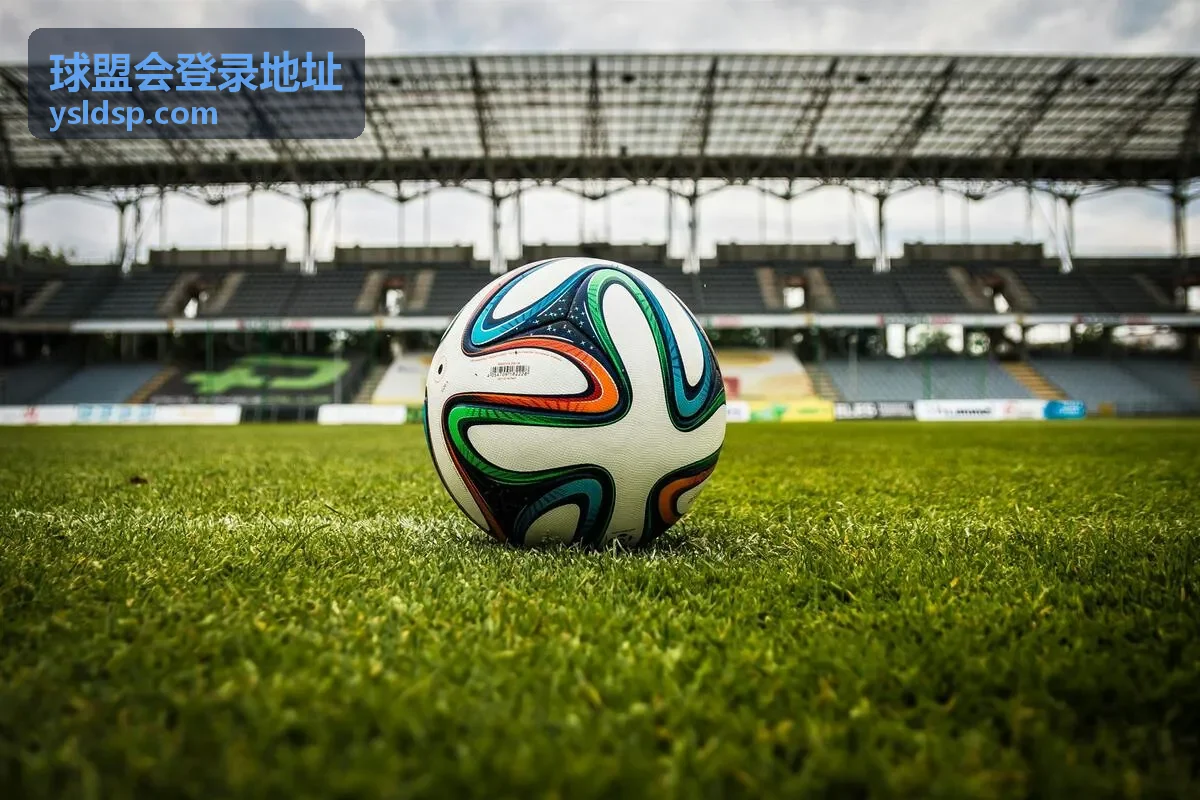 更换设备后重新核对球盟会登录地址账号信息